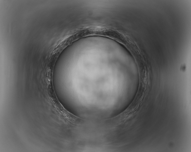 X0000116321301200912151233