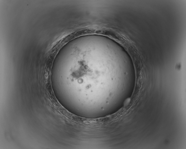 X0000116321302200912151233