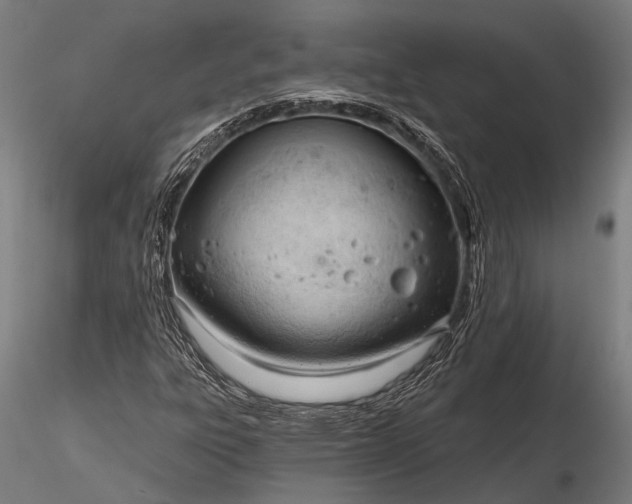 X0000116321303200912151233