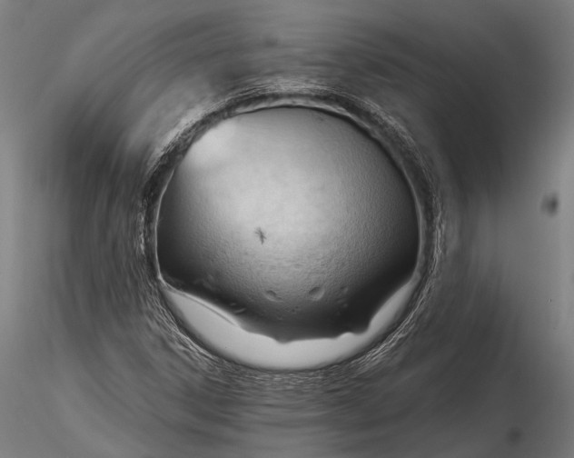 X0000116321306200912151233