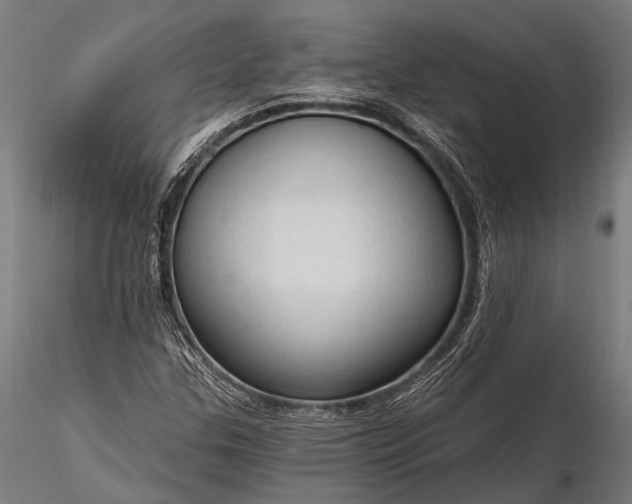 X0000116321307200912151233