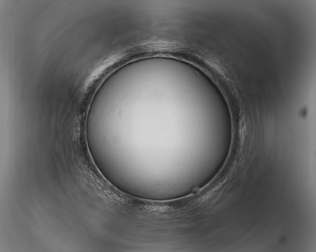 X0000116321309200912151233