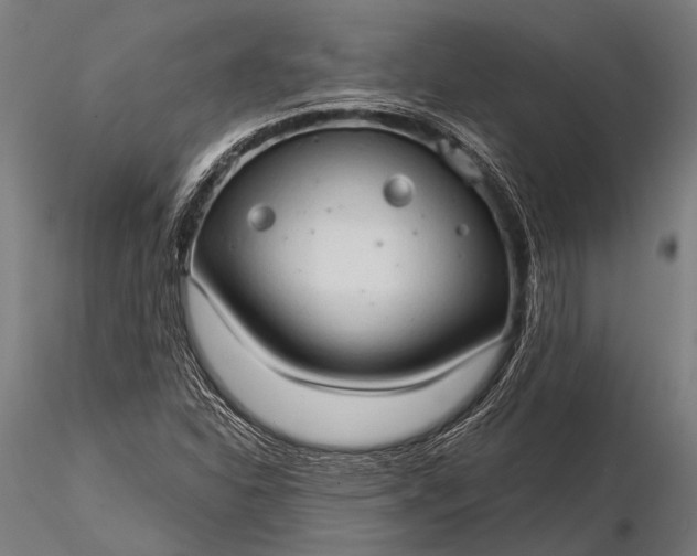 X0000116321310200912151233