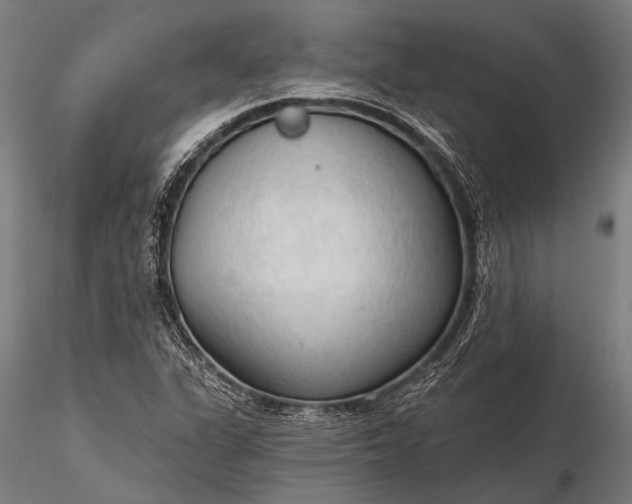 X0000116321311200912151233