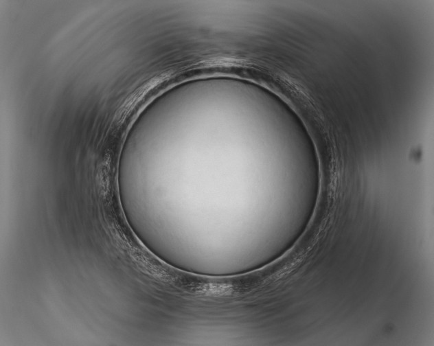 X0000116321313200912151233