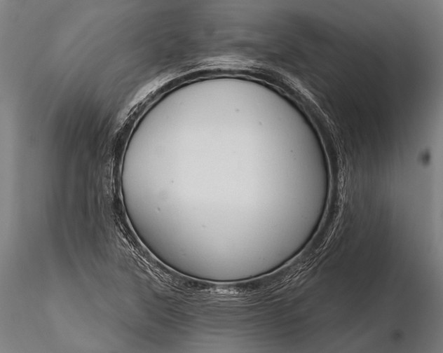 X0000116321315200912151233