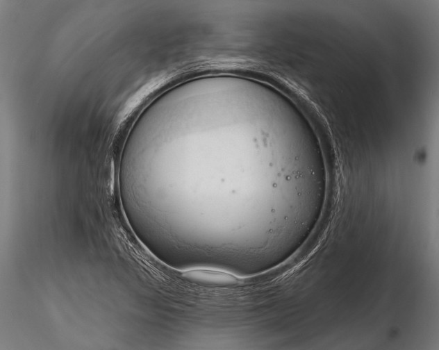 X0000116321317200912151233