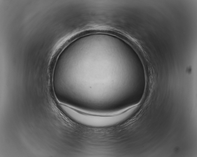 X0000116321319200912151233