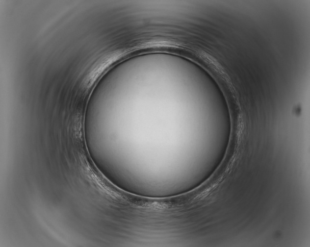 X0000116321321200912151233