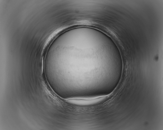 X0000116321323200912151233