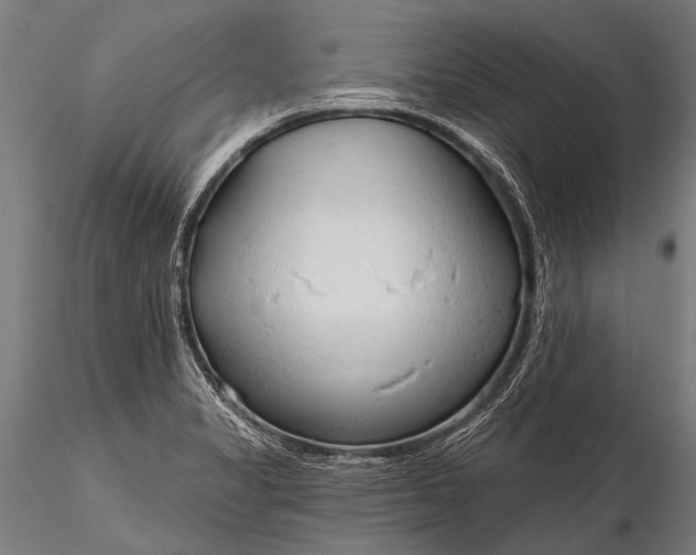 X0000116321325200912151233