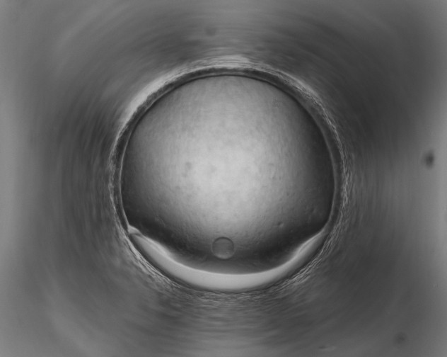 X0000116321326200912151233