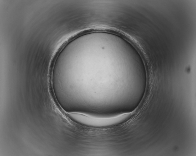 X0000116321327200912151233