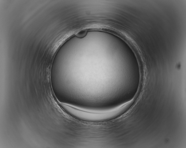 X0000116321329200912151233