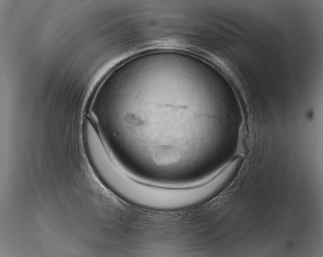 X0000116321331200912151233