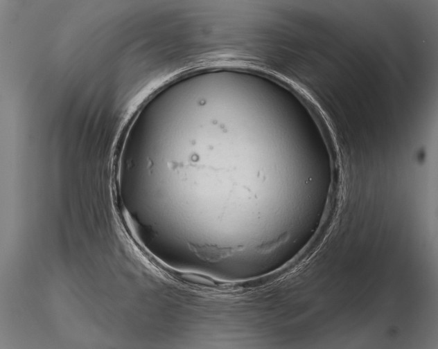 X0000116321333200912151233