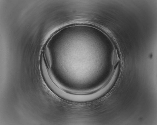 X0000116321334200912151233