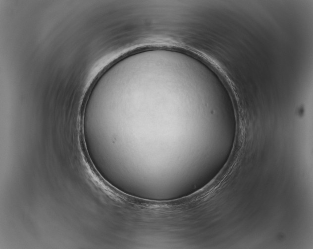 X0000116321335200912151233