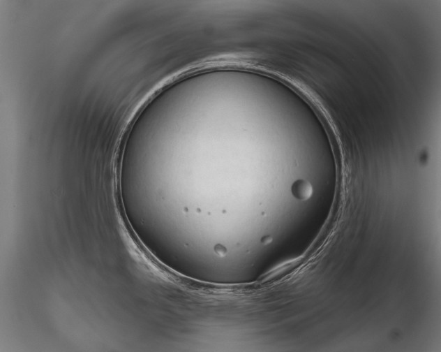 X0000116321341200912151233