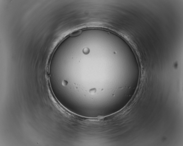 X0000116321342200912151233