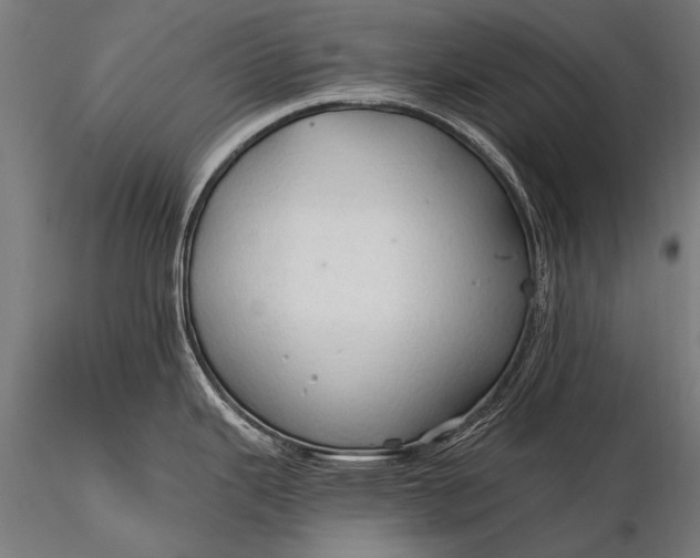 X0000116321343200912151233