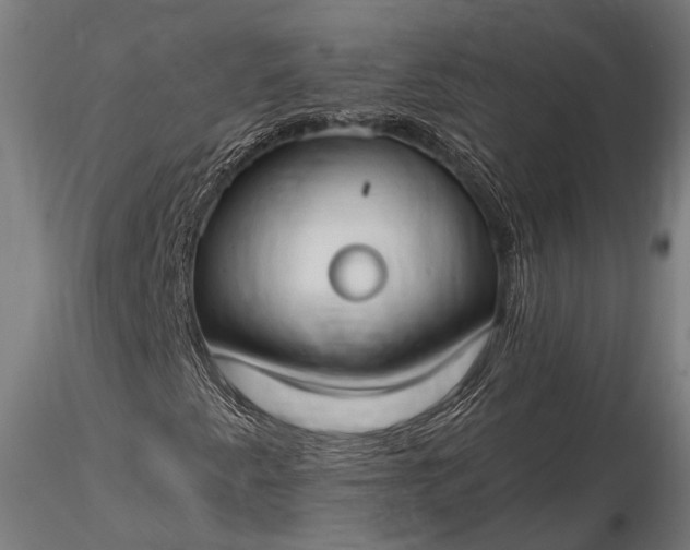 X0000116321345200912151233