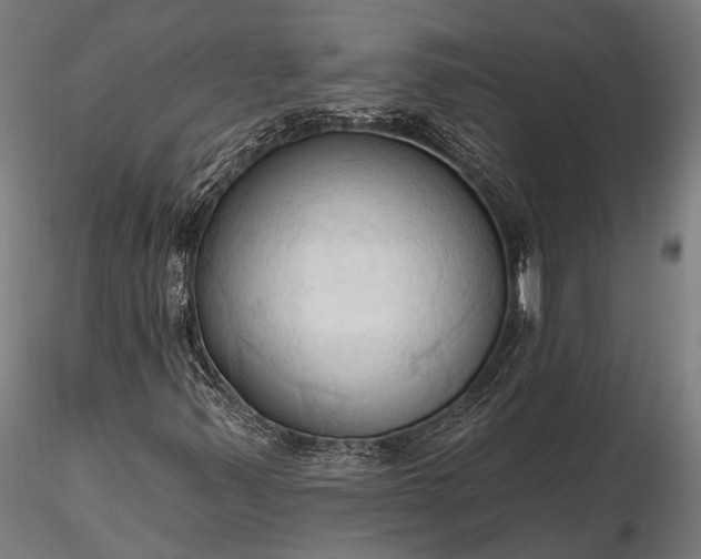 X0000116321347200912151233