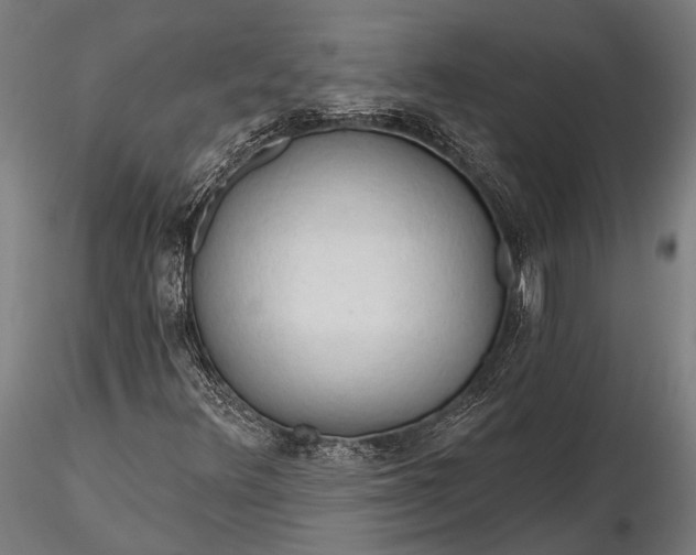 X0000116321348200912151233