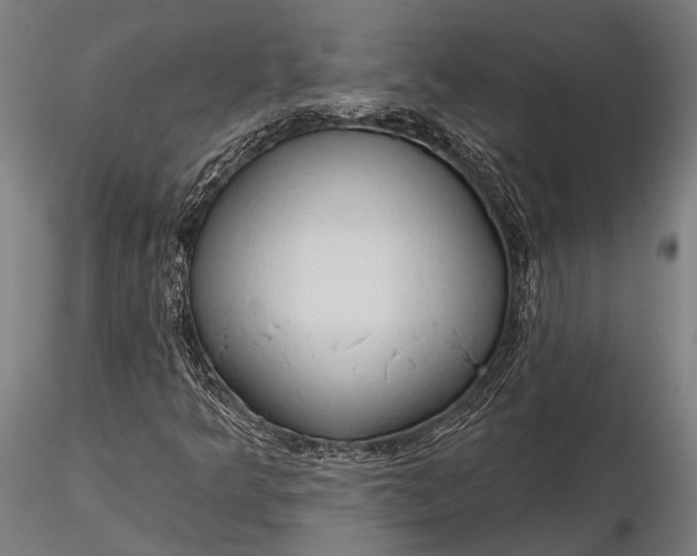 X0000116321349200912151233