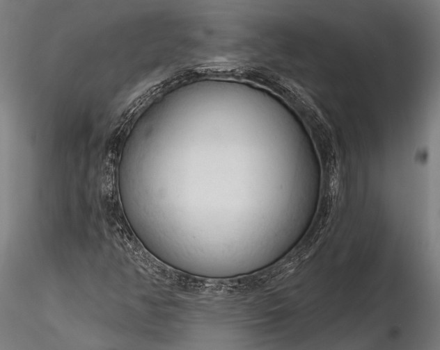 X0000116321350200912151233