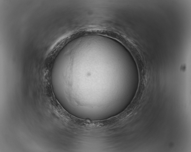 X0000116321351200912151233