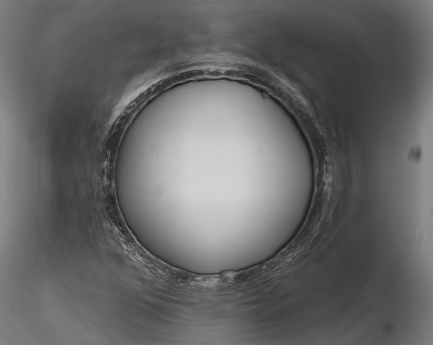 X0000116321352200912151233