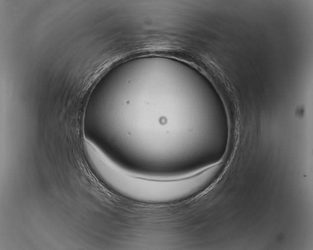 X0000116321353200912151233