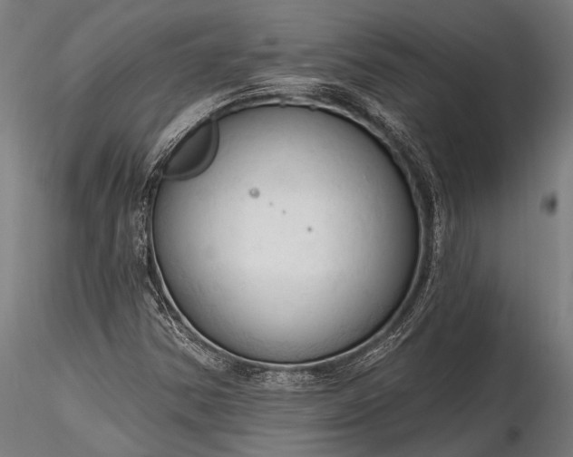 X0000116321354200912151233