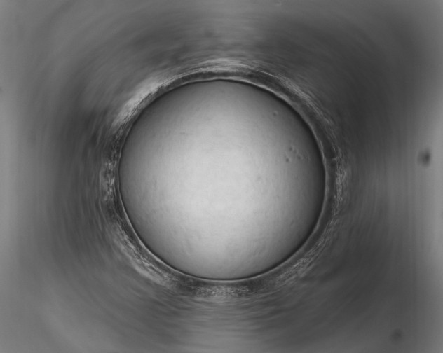 X0000116321355200912151233