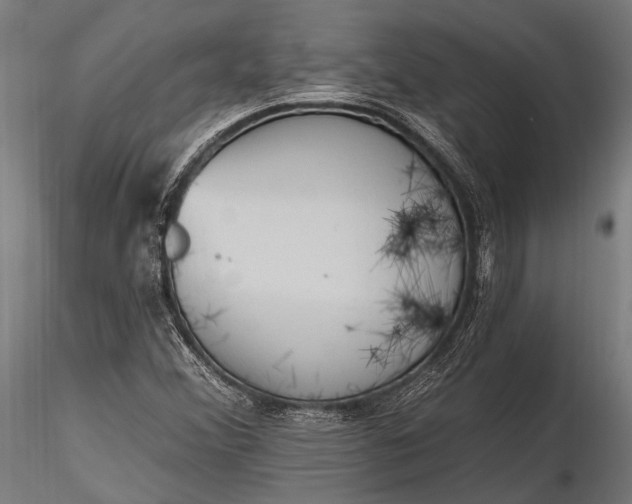 X0000116321356200912151233