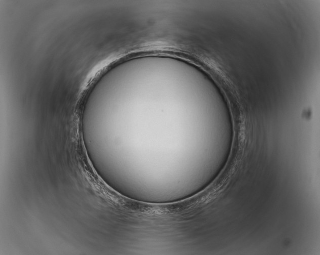 X0000116321358200912151233