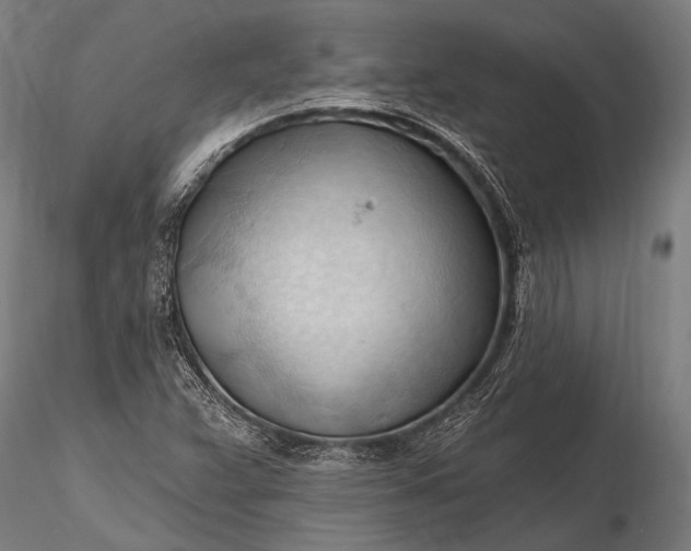 X0000116321359200912151233