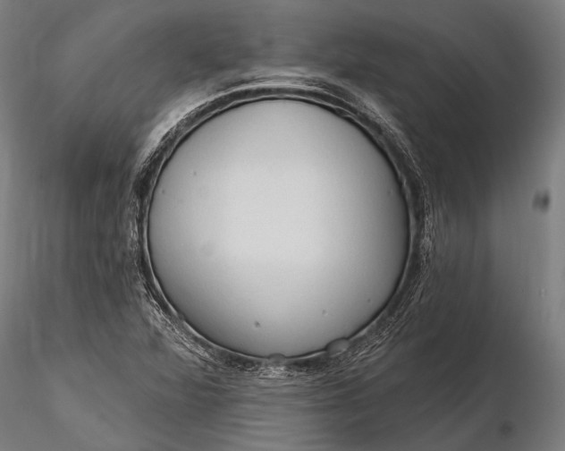 X0000116321360200912151233