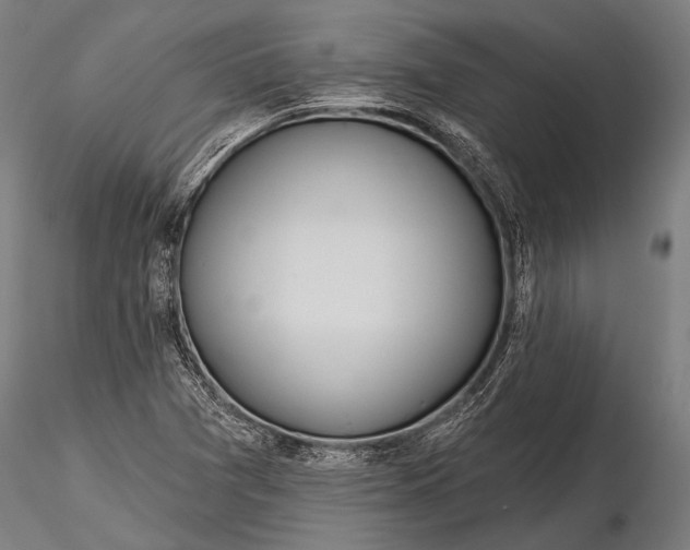 X0000116321361200912151233