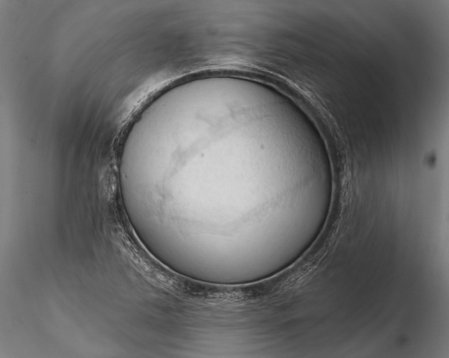 X0000116321363200912151233