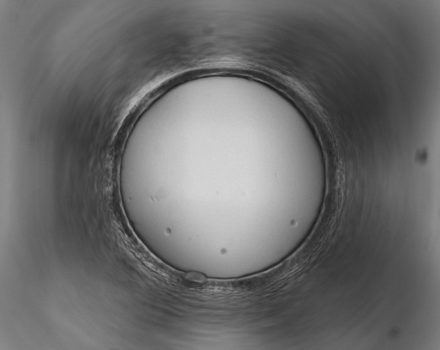 X0000116321364200912151233