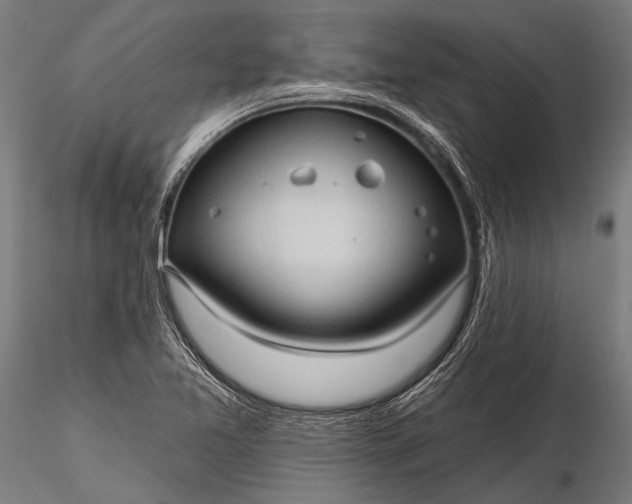 X0000116321365200912151233