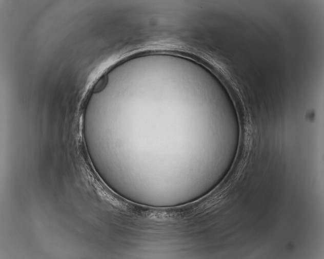 X0000116321366200912151233