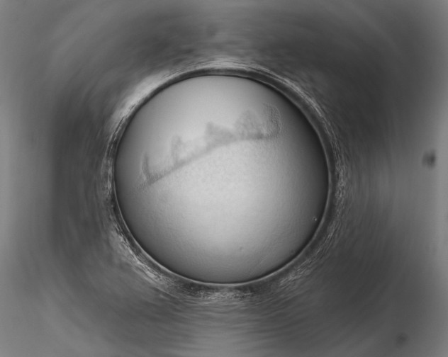 X0000116321367200912151233