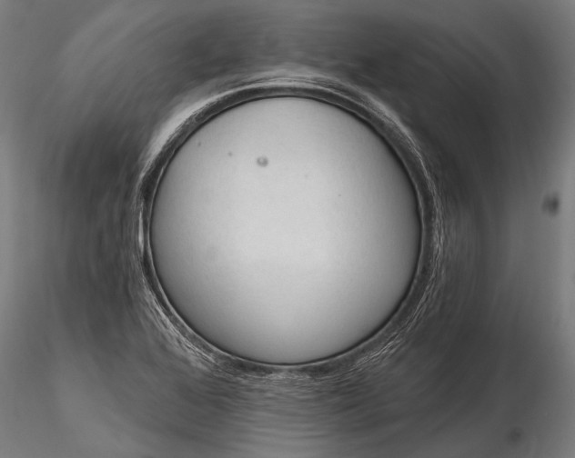 X0000116321368200912151233