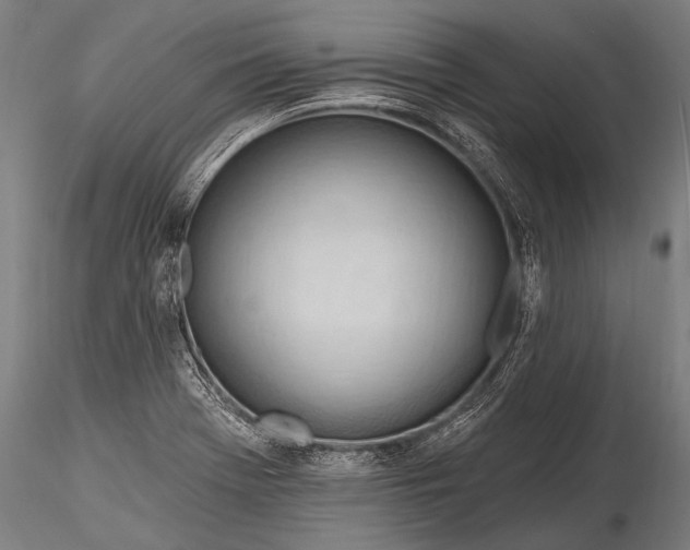 X0000116321369200912151233