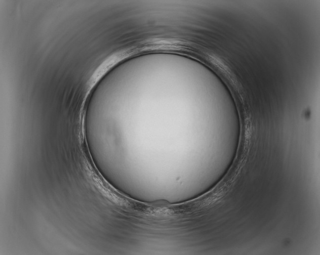 X0000116321370200912151232