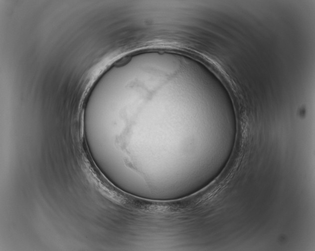 X0000116321371200912151232