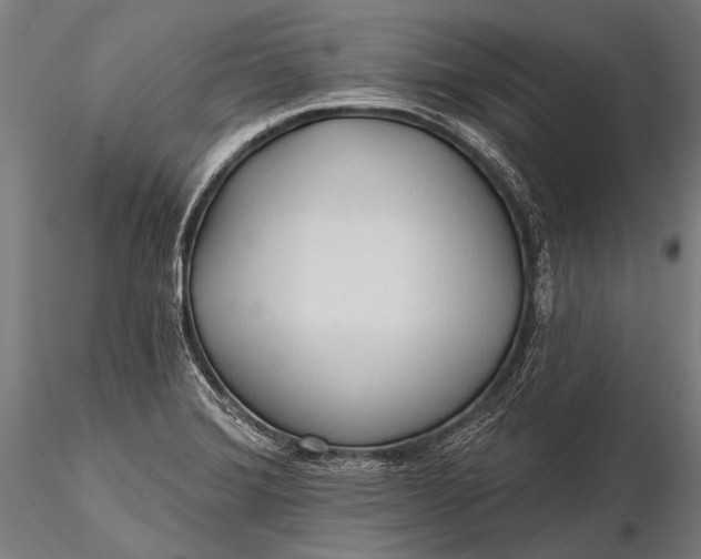 X0000116321372200912151232